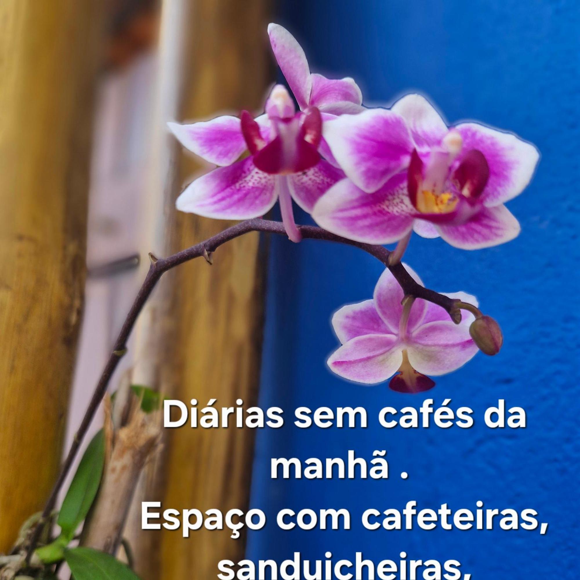 A Ver O Mar Suites Cocanha Caraguatatuba Ngoại thất bức ảnh